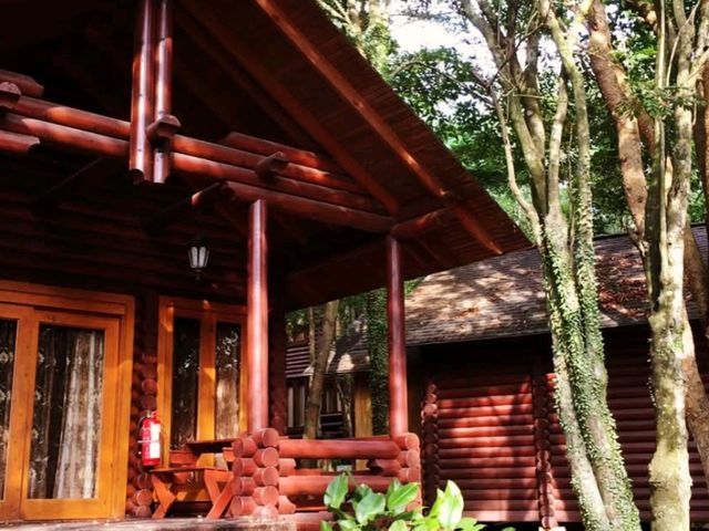 🍃✨ Philea Resort & Spa Melaka – Sleep in a Wooden Wonderland! 🏡🌿