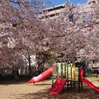 Nambanaka Park