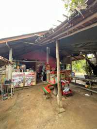 ร้านส้มตำโนรา