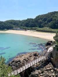 Surf, Chill, and Epic Views at Surfyybe Beach
