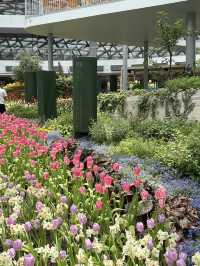 🌷 สวนทิวลิปที่ดีต่อใจ ฉบับอัพเดทปี 2025