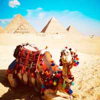 Pyramids & Paradise: Your Ultimate Egyptian Summer Adventure Awaits!** ☀️𓂀   