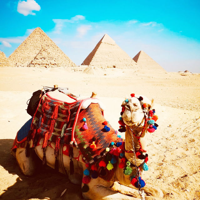 Pyramids & Paradise: Your Ultimate Egyptian Summer Adventure Awaits!** ☀️𓂀   