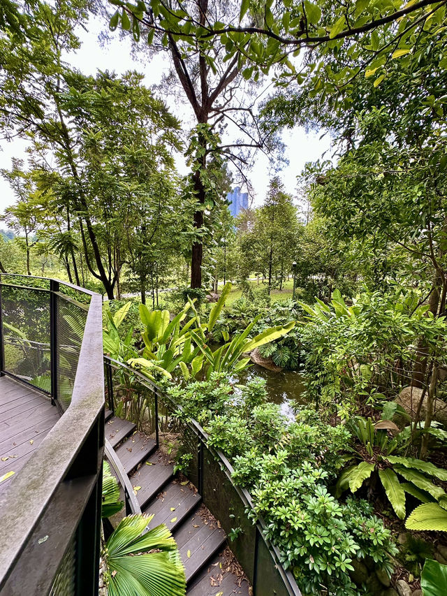 Among the Leaves: An Elevated Escape in the City