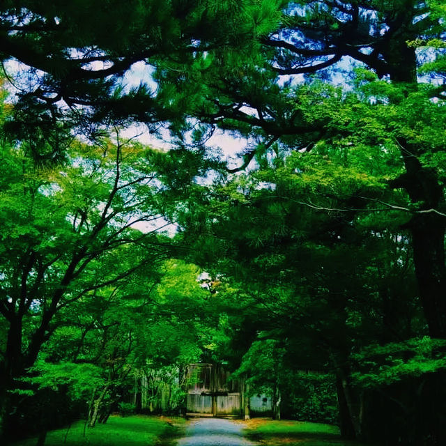 京都🇯🇵桂離宮