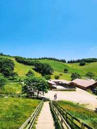 Chill Out With Sheep at Daegwallyeong Sheep Ranch