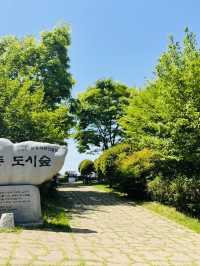 Uam-dong Urban Forest, Busan: A Tranquil Green Escape with Harbor Views