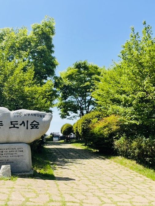 Uam-dong Urban Forest, Busan: A Tranquil Green Escape with Harbor Views