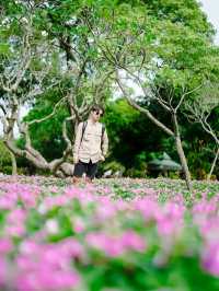 สวนหลวง ร.9 