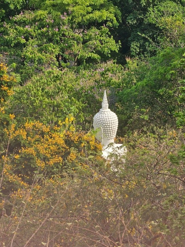วัดเขาวง ถ้ำนารายณ์ | สระบุรี