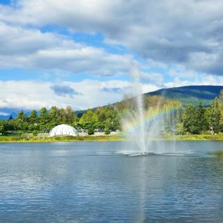 Bradbury Park: A Green Oasis in the City