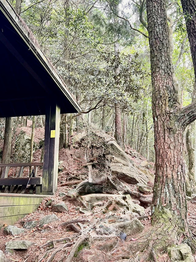 夏天就是要去中級山避暑