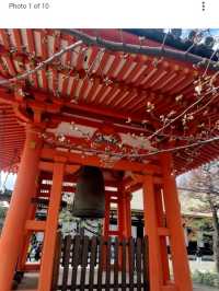 @ SANJUSANGENDO TEMPLE IN KYOTO.
