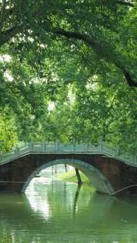 ~東莞人民公園~綠意盎然~