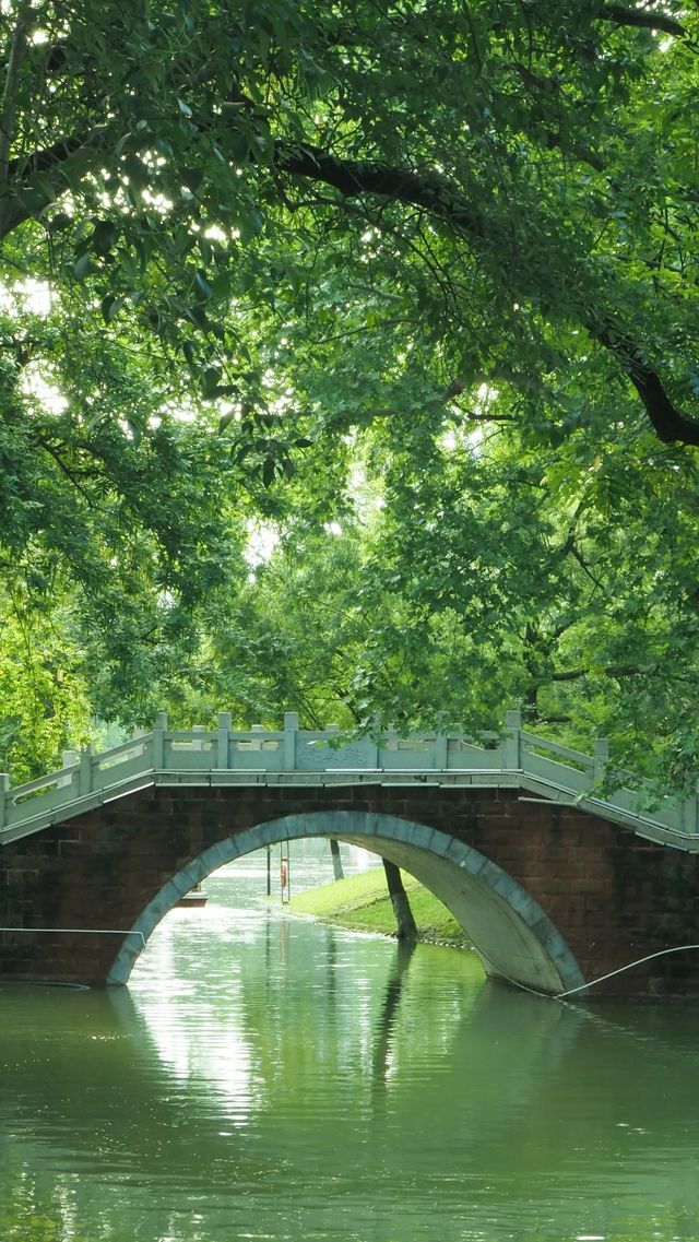 ~東莞人民公園~綠意盎然~
