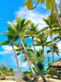 Tiny Paradise: Guyam Island