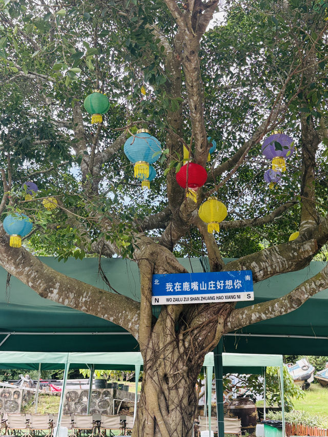 深圳鹿嘴山莊：懸崖海景與童話秘境 （電影美人魚拍攝場地）