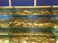 🦞 Seafood Feast by the Sea at Jade Garden Seafood Corner