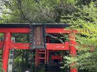 Hakone Shrine & Port Park: A Serene Escape in Hakone! ⛩️🌳 I recently visited Hakone Shrine and the 