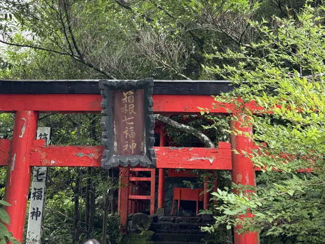 Hakone Shrine & Port Park: A Serene Escape in Hakone! ⛩️🌳 I recently visited Hakone Shrine and the 