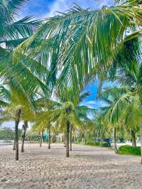 도심 속 백사장 휴식🌴 하노이 오션파크 인공해변 힐링 
