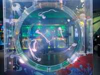 Shanghai Haichang Ocean Park สวนสัตว์น้ำเซี่ยงไฮ้