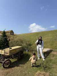 อาข่า ฟาร์มวิลล์ Akha Farm Ville 