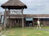 🌿 Akha Farm ดอยช้าง – ฟาร์มแกะสุดอบอุ่น 🐑