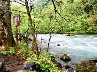 🍃 Nature’s Majesty at Sounkyo Gorge