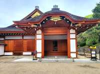 Echoes of the Past at Nagoya Castle