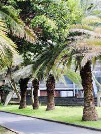 A Peaceful Local Green Space for Relaxation