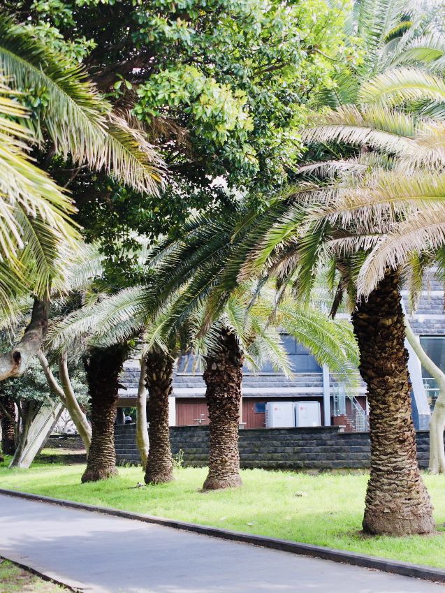 A Peaceful Local Green Space for Relaxation
