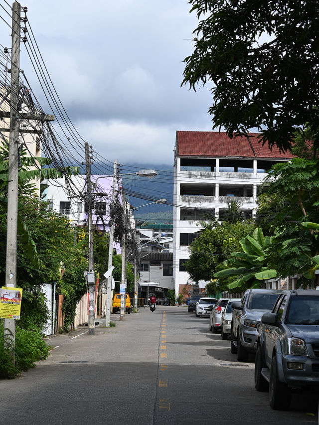 Chiang Mai: The Rose of the North in Full Bloom