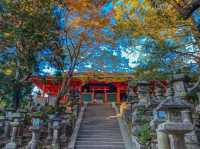 รีวิว Nara Park – เดินชิล, ใบไม้โรแมนติก และผองเพื่