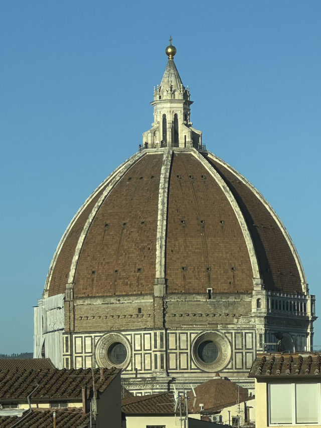 Medici’s Masterpiece: The Uffizi Through 500 Years