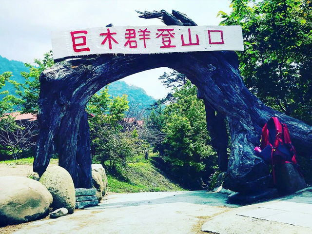 新竹｜「逃進雲端森林：夏日必訪的秘境司馬庫斯 🌲🌤️」