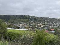 Stunning views of Lyttelton Harbour, the volcanic peaks and ridges of Banks Peninsula