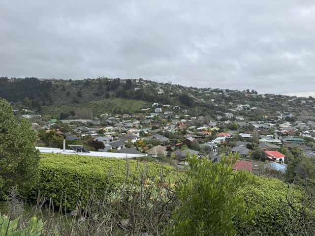 Stunning views of Lyttelton Harbour, the volcanic peaks and ridges of Banks Peninsula