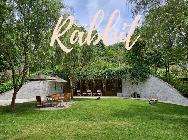 Rabbit Cafe 🐰