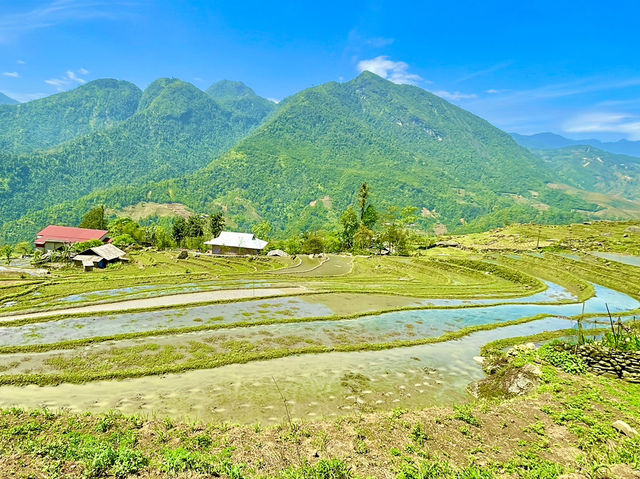 A peaceful paradise in the heart of Sapa🥰😍😎👫