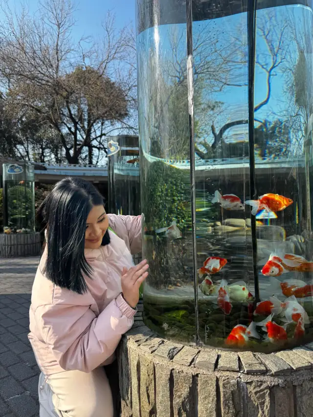 "Chasing the dream... to Shanghai Zoo" 