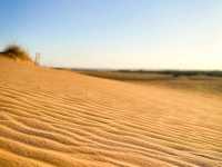 Little Sahara State Park – Waynoka, OK