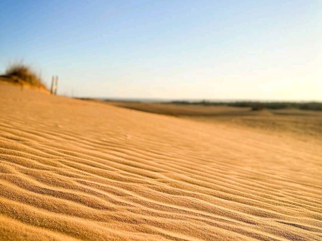 Little Sahara State Park – Waynoka, OK