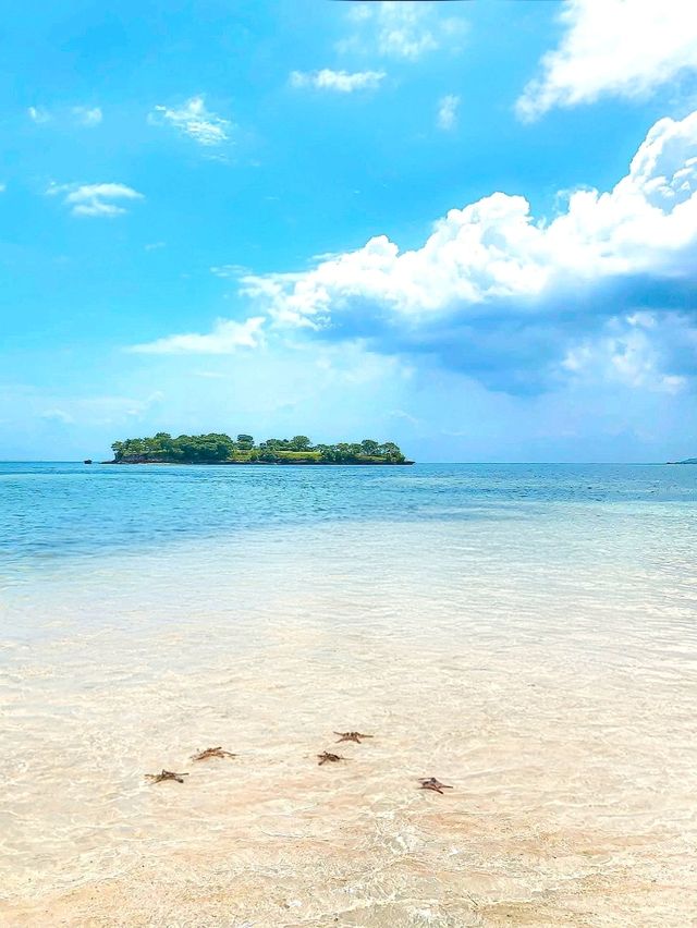 Blush by the Sea: Pink Beach, Lombok