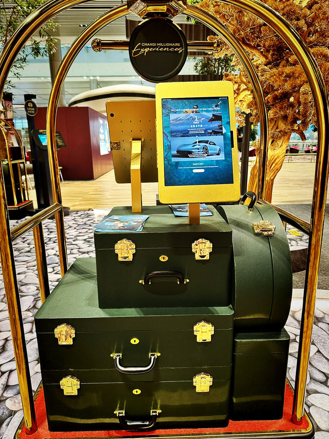 Art, Culture & Kyoto Dreams at Changi T4