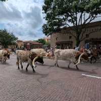 Fort Worth Stockyards National Historic District