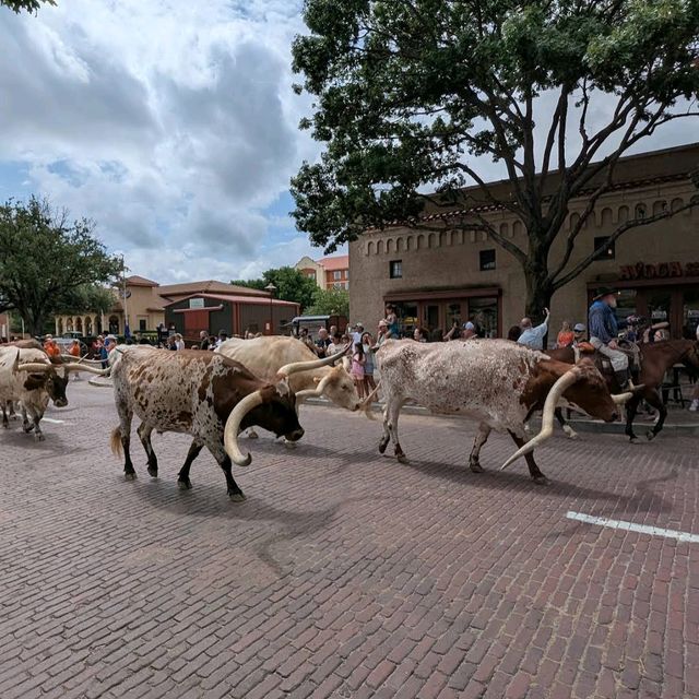 Fort Worth Stockyards National Historic District