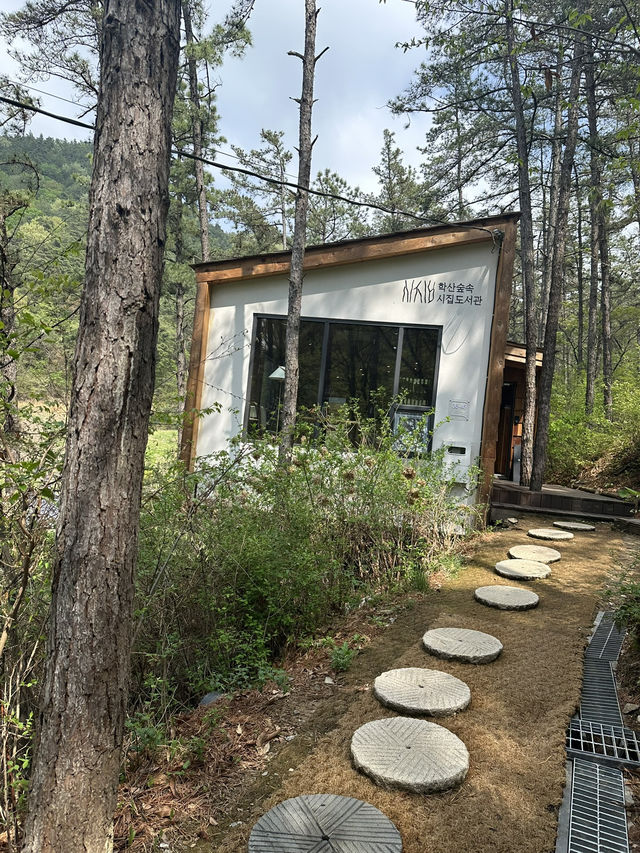 조용한 여유를 느낄 수 있는 전주 도서관