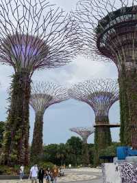  🌺 Gardens by the Bay – สวนล้ำโลกกลางสิงคโปร์