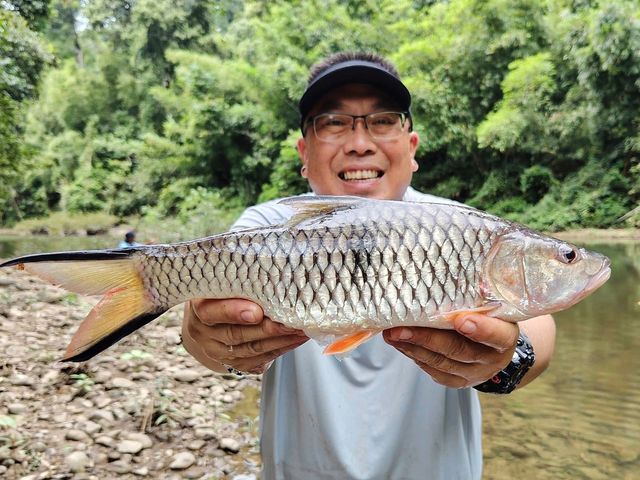 到泰国秋兰湖感受钓鱼天堂和野生动物天堂的魅力